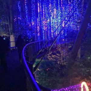 Meet your Posher, Justice